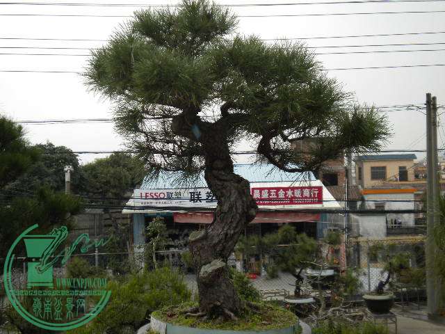 DSCN7960.JPG