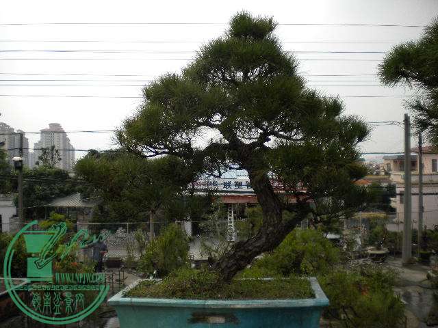 DSCN7963.JPG