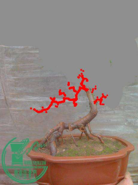 202743kv6d6rn7llb11rfl.jpg.thumb.jpg
