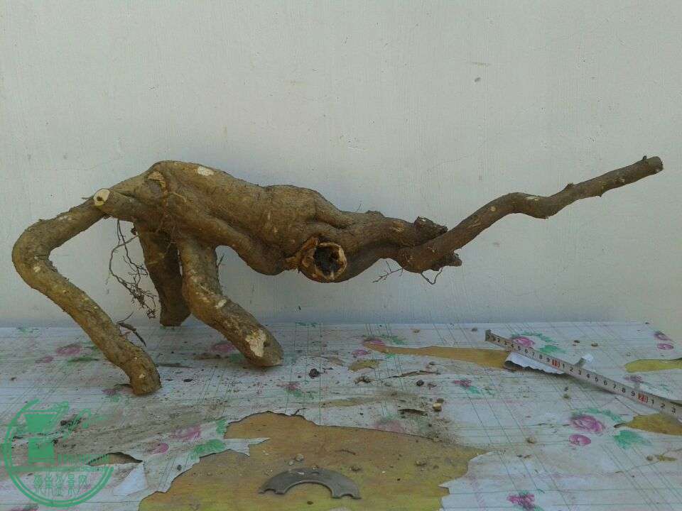 QQͼƬ20150415204627.jpg