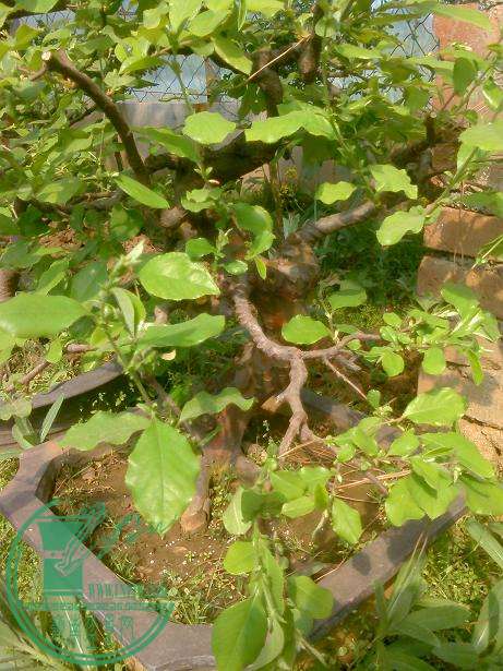 IMG0416022901.jpg