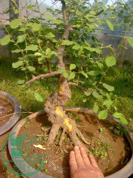 IMG0416023500.jpg
