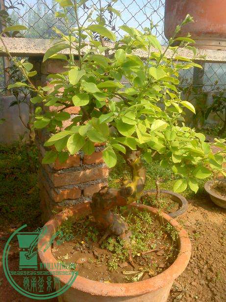 IMG0416023601.jpg