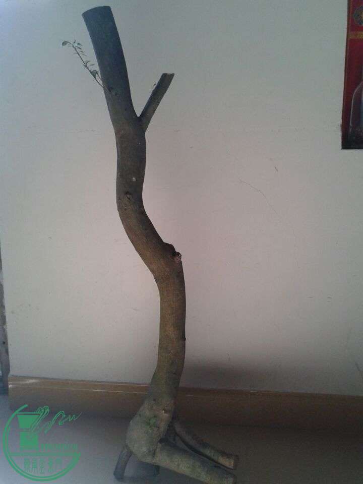 QQͼƬ20150417011147.jpg