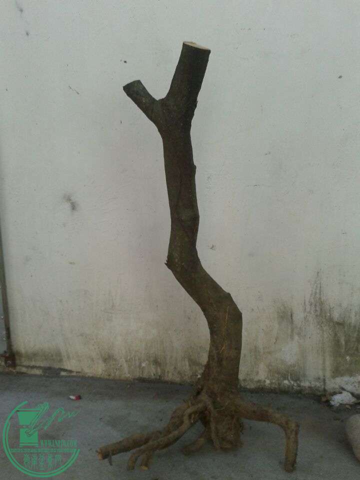 QQͼƬ20150417011214.jpg