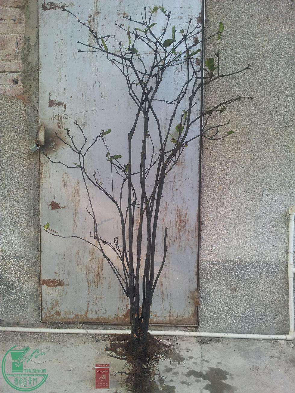 20150416_170023.JPG