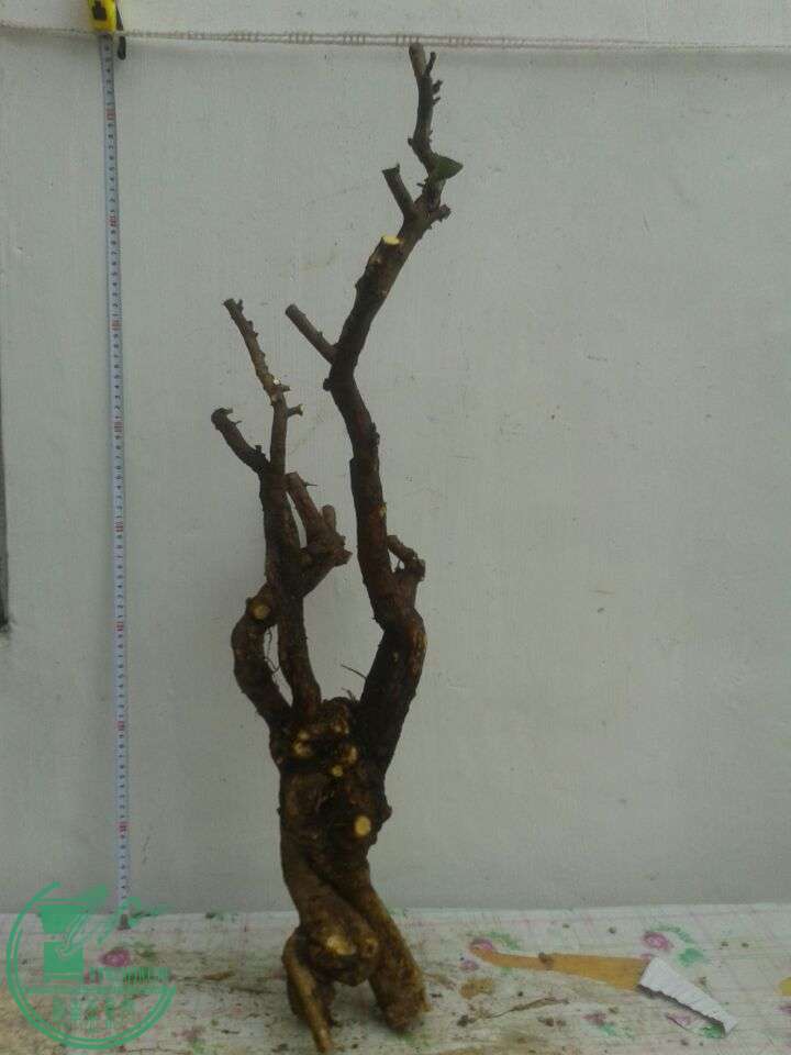 QQͼƬ20150417141011.jpg
