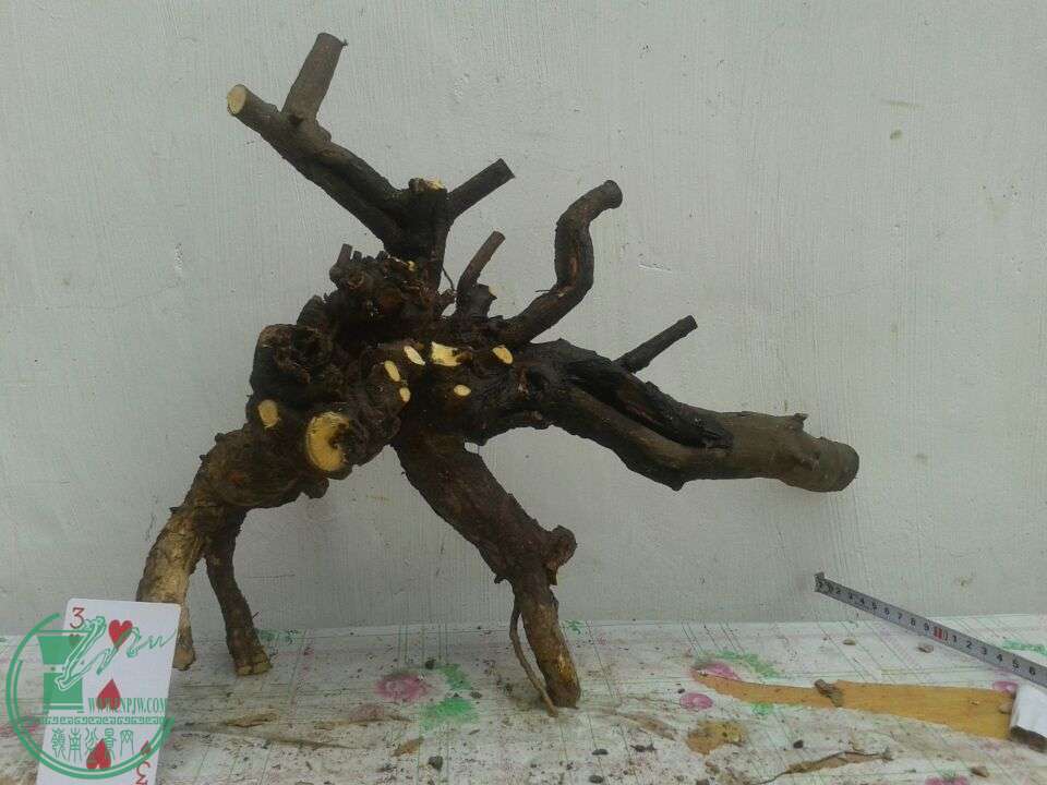QQͼƬ20150417141022.jpg