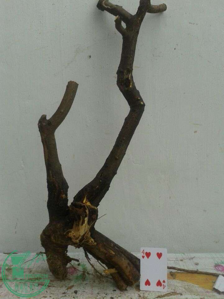 QQͼƬ20150417141111.jpg
