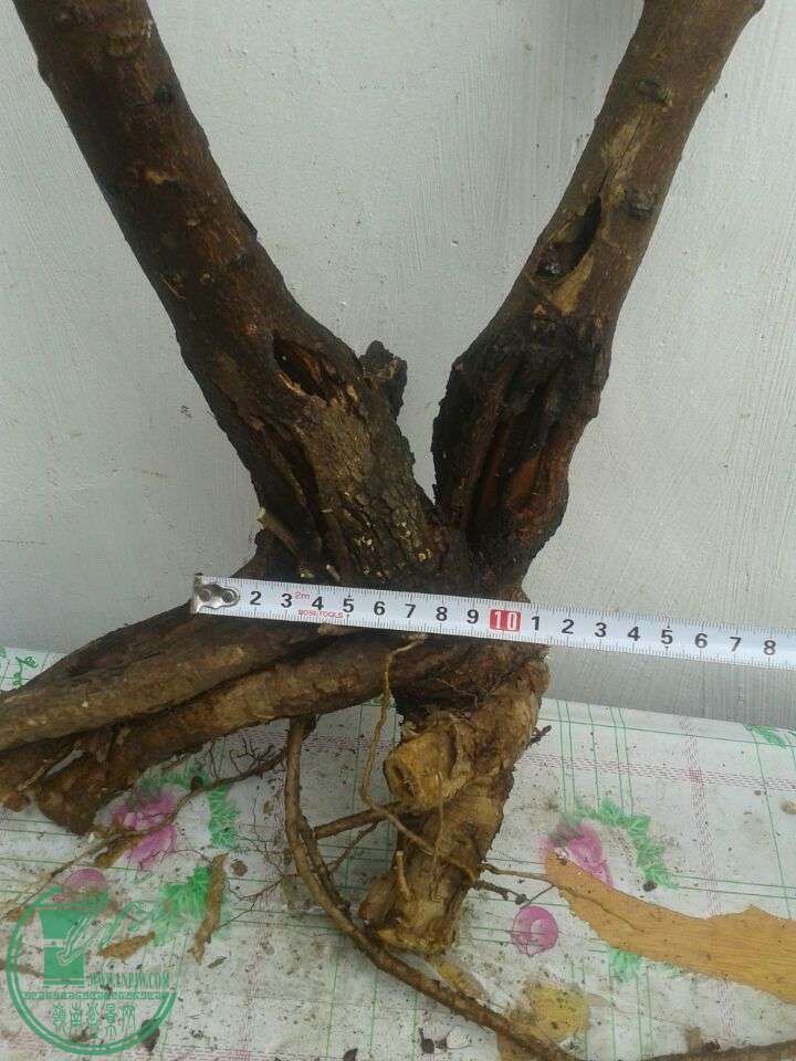 QQͼƬ20150417141120.jpg