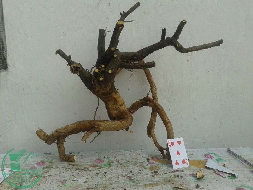 QQͼƬ20150417141128.jpg