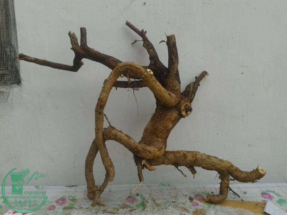 QQͼƬ20150417141132.jpg
