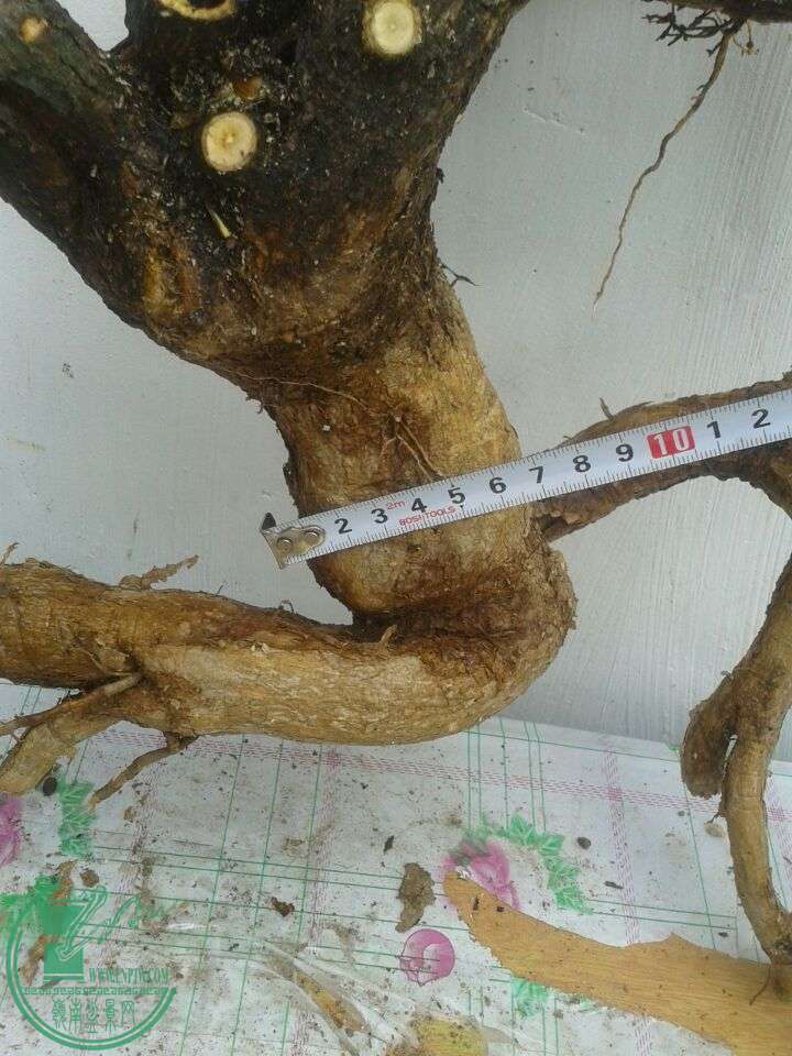 QQͼƬ20150417141137.jpg