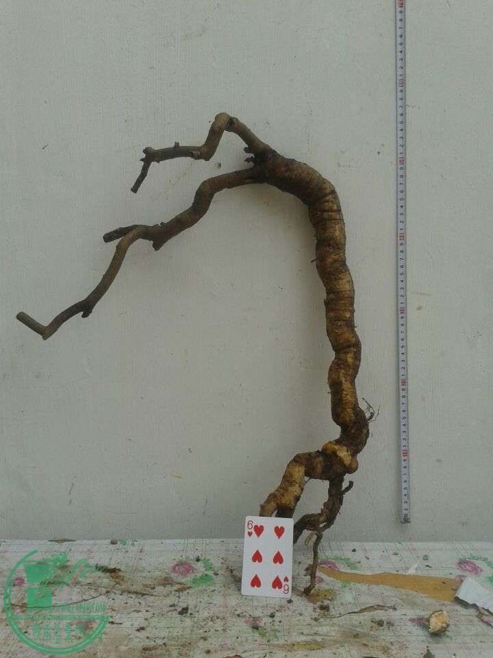 QQͼƬ20150417141146.jpg