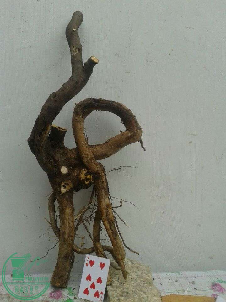 QQͼƬ20150417141203.jpg