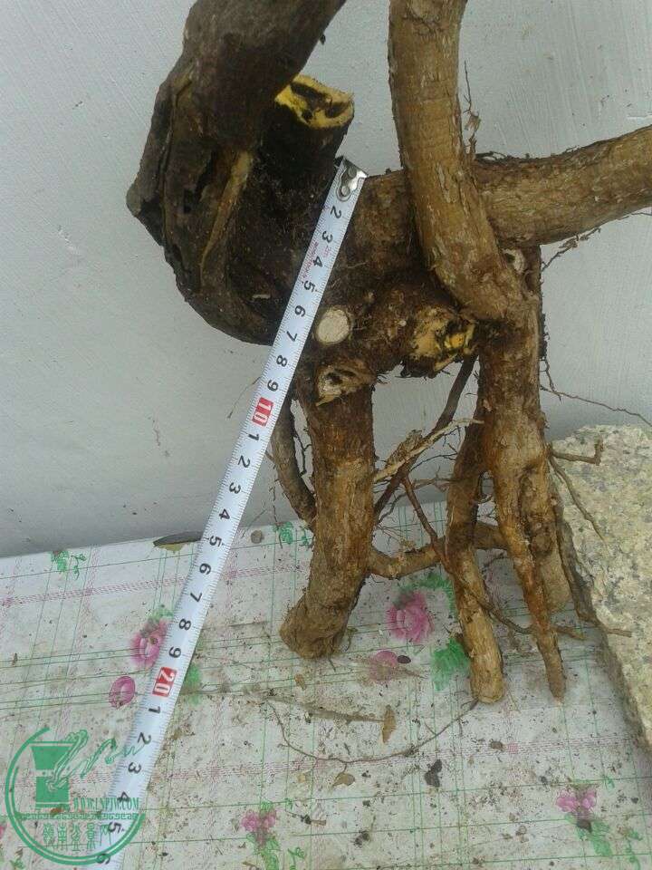 QQͼƬ20150417141210.jpg