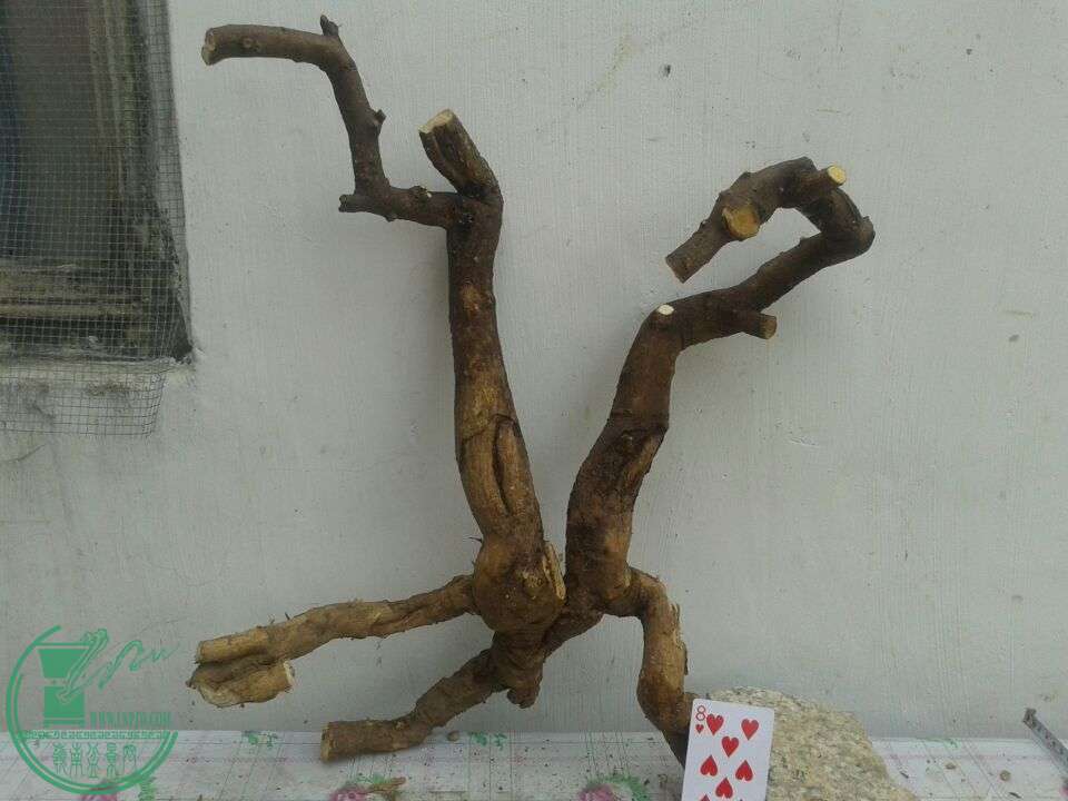 QQͼƬ20150417141221.jpg