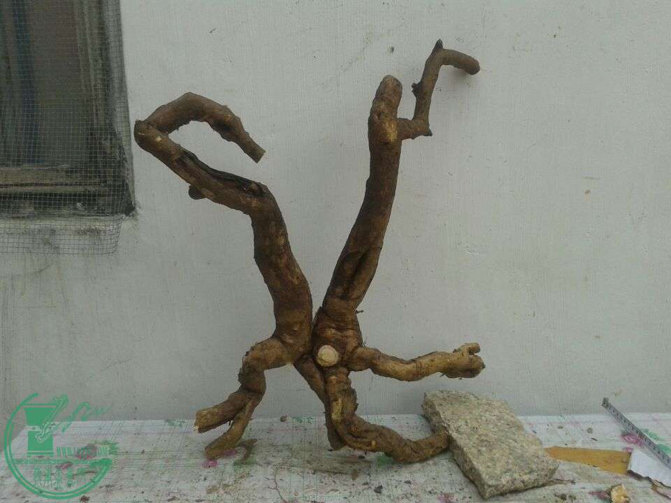 QQͼƬ20150417141225.jpg