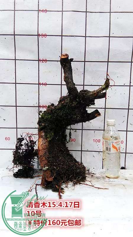 psb (21).jpg