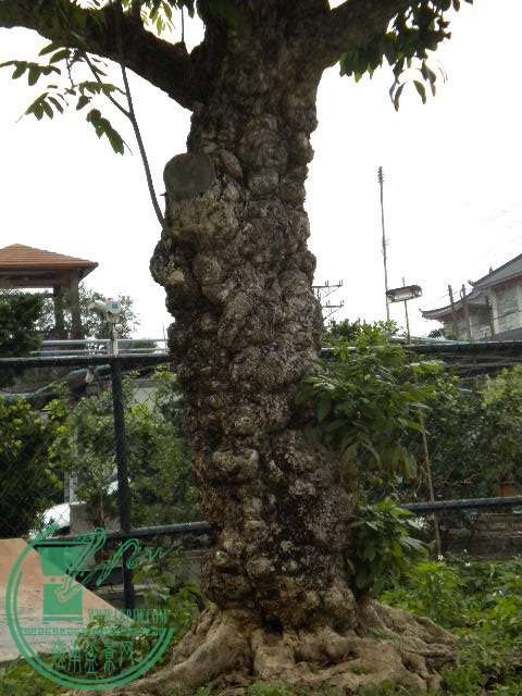 DSCN8034.JPG