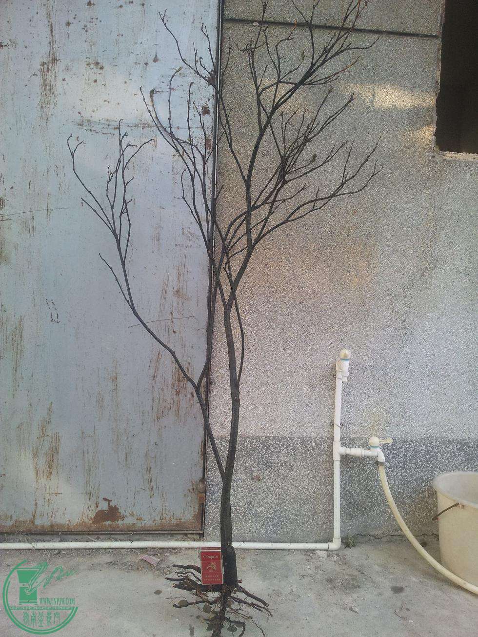 20150416_165659.JPG