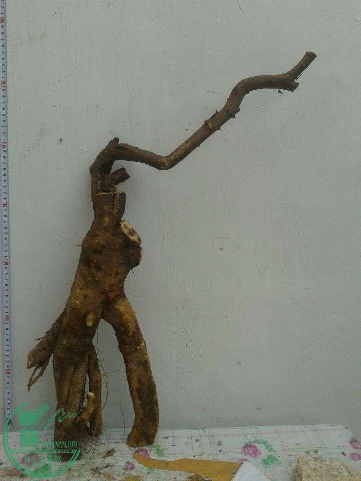 QQͼƬ20150417142743.jpg