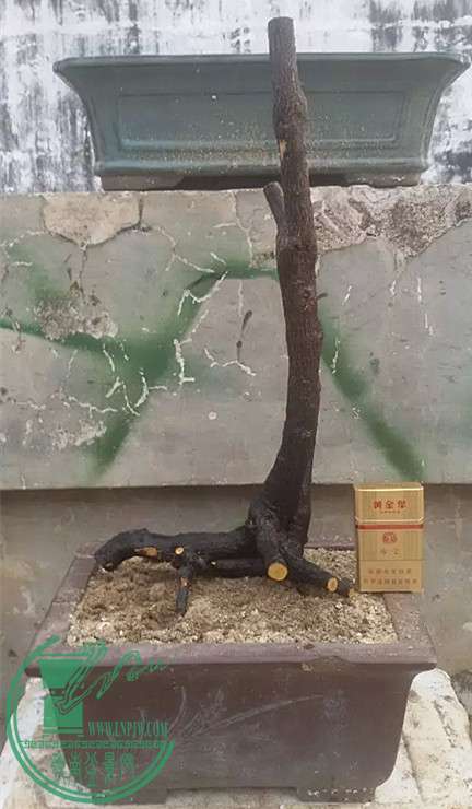 3_.jpg