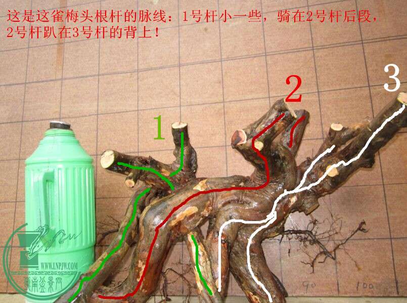 QQͼƬ20150419143806_.jpg