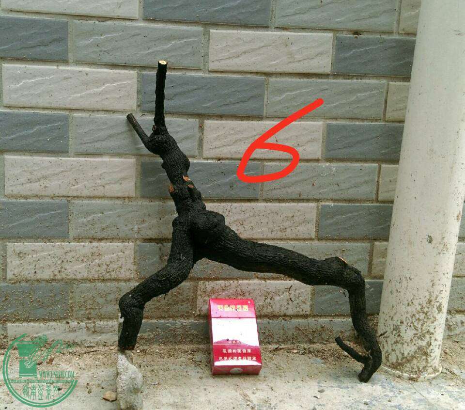 -65c8af47caf8549c.jpg