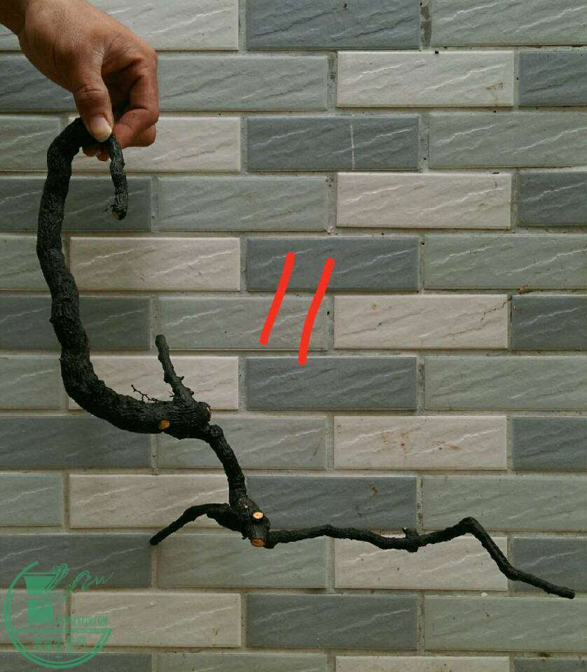 -330bf80eec230074.jpg