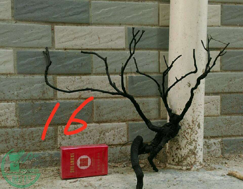 47af37db3d77ea3b.jpg