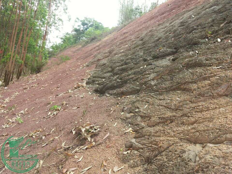 绯ʯ1.jpg