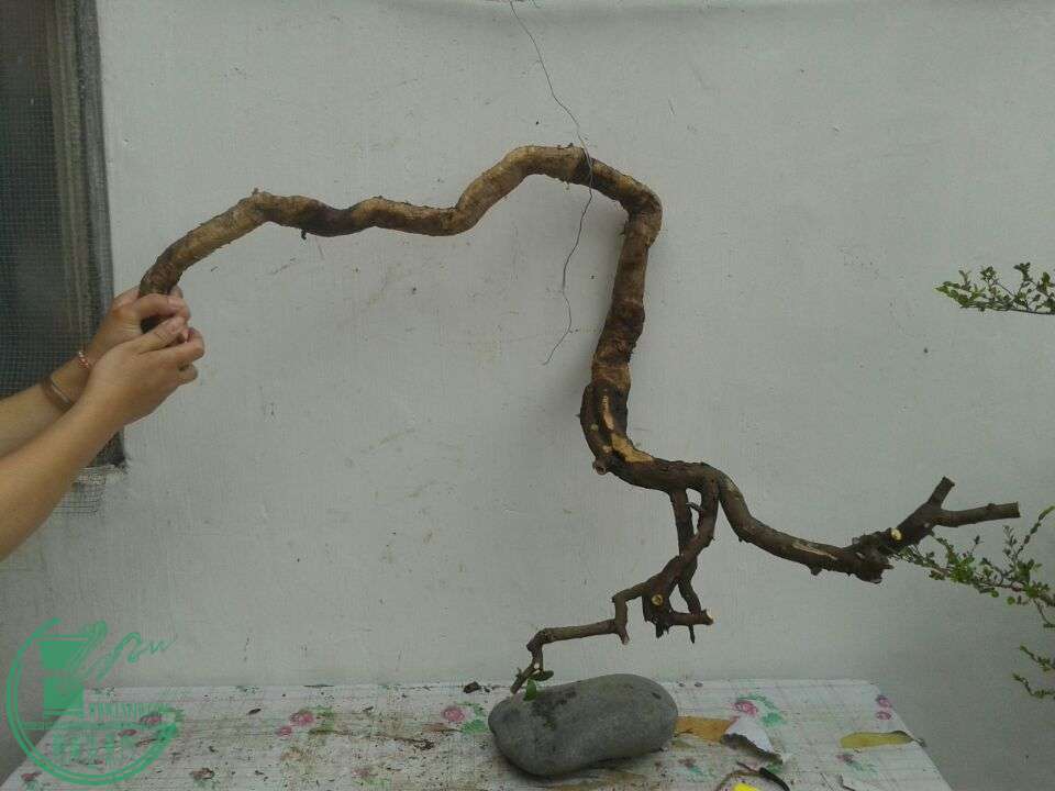 QQͼƬ20150420142015.jpg