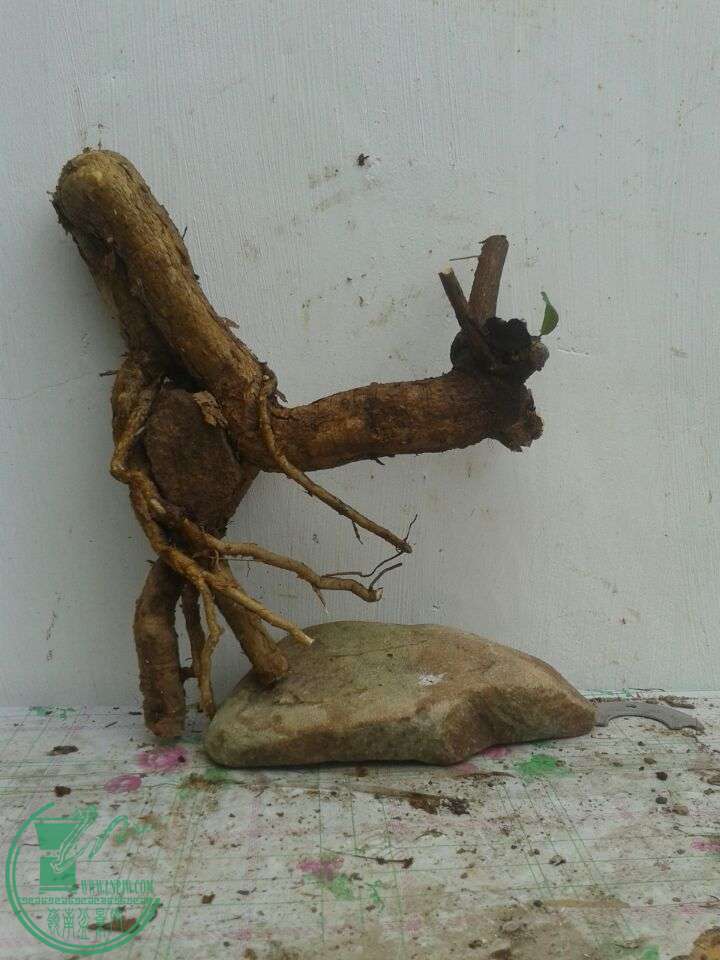 QQͼƬ20150420141929.jpg