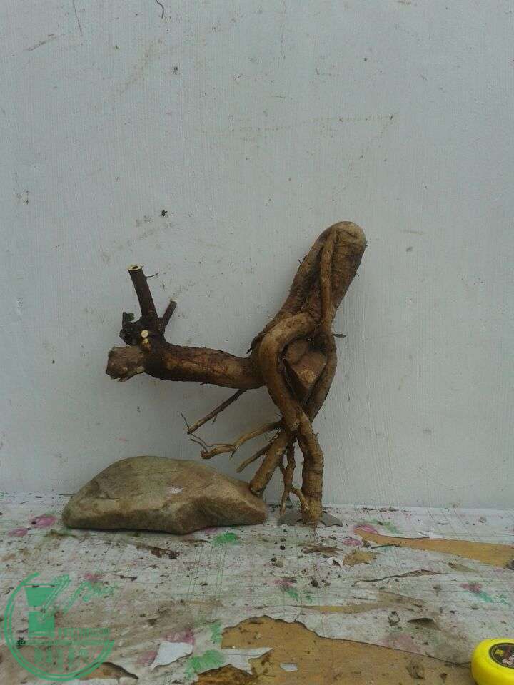 QQͼƬ20150420141932.jpg
