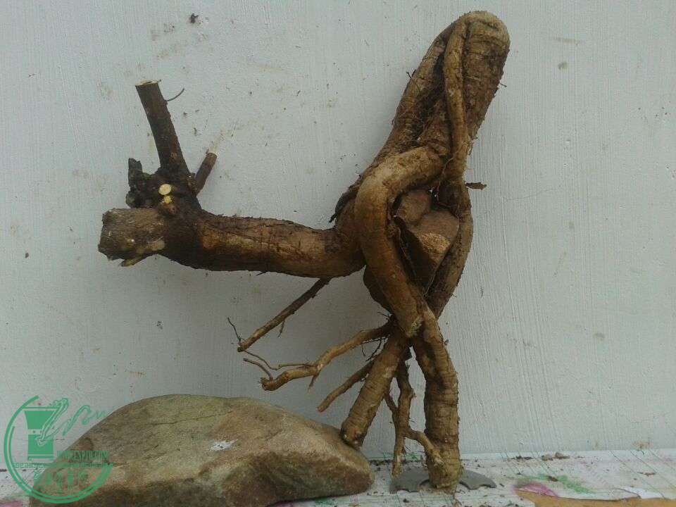 QQͼƬ20150420141936.jpg