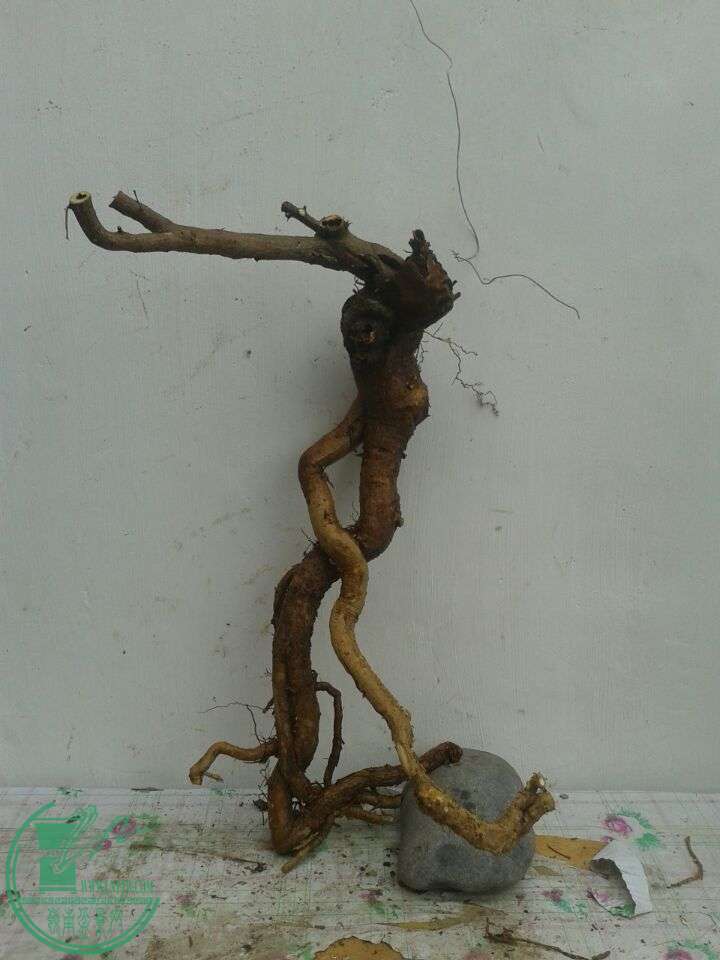 QQͼƬ20150420142126.jpg