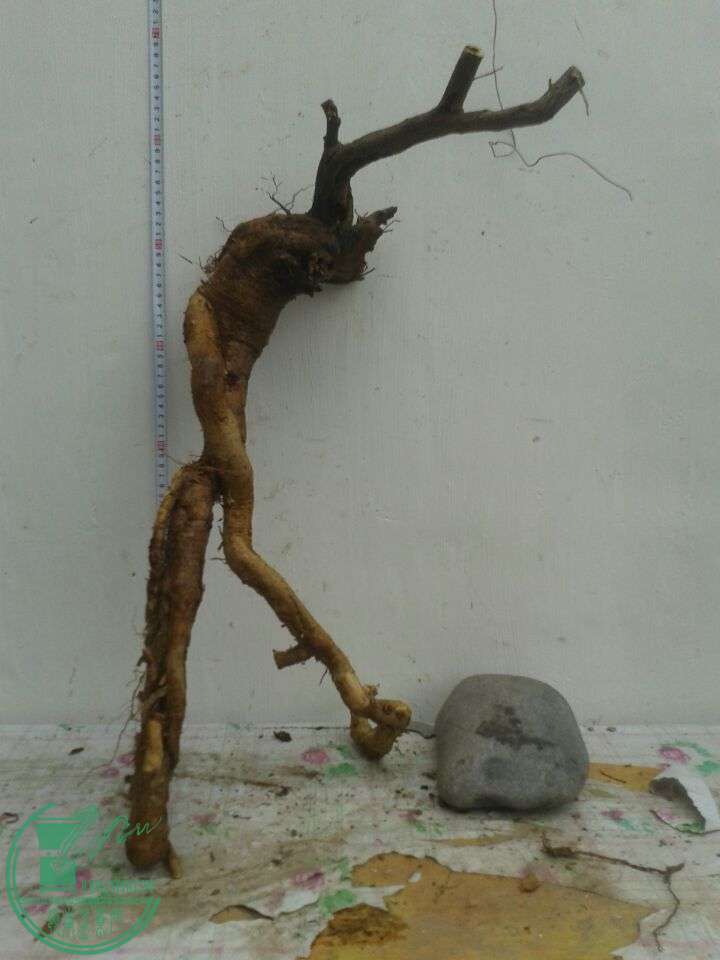 QQͼƬ20150420142130.jpg