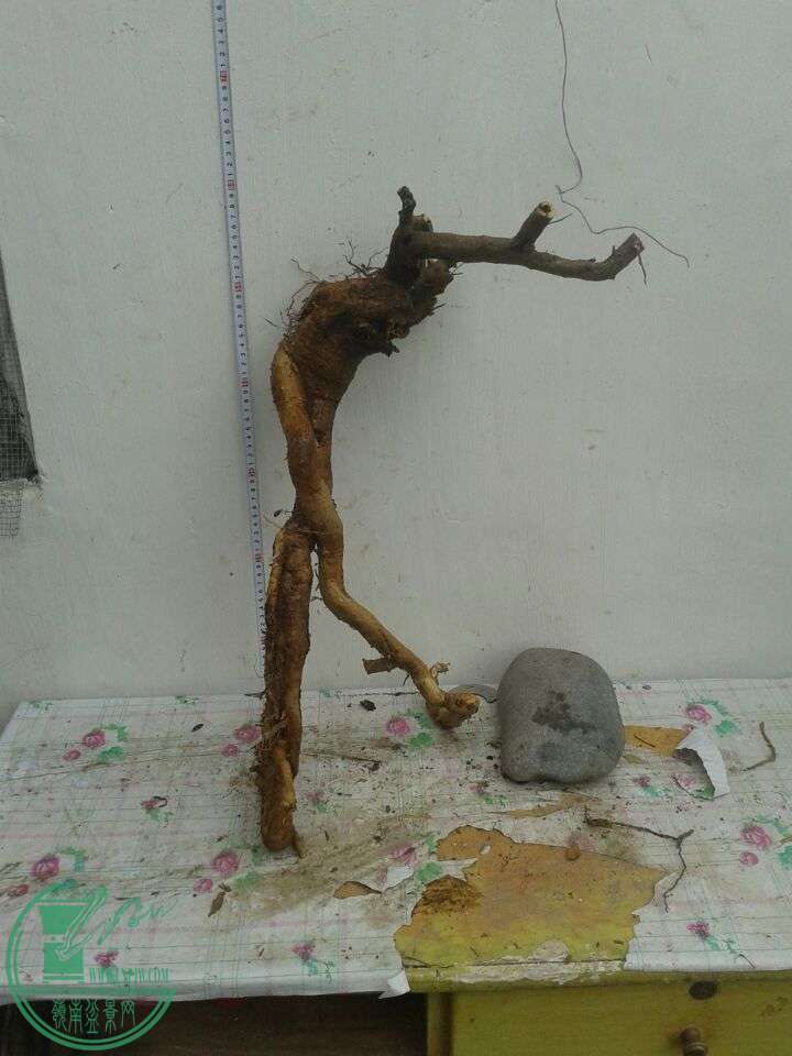 QQͼƬ20150420142153.jpg