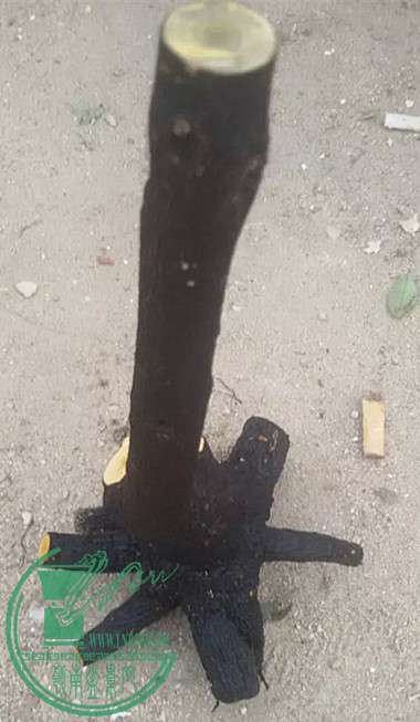 7_.jpg