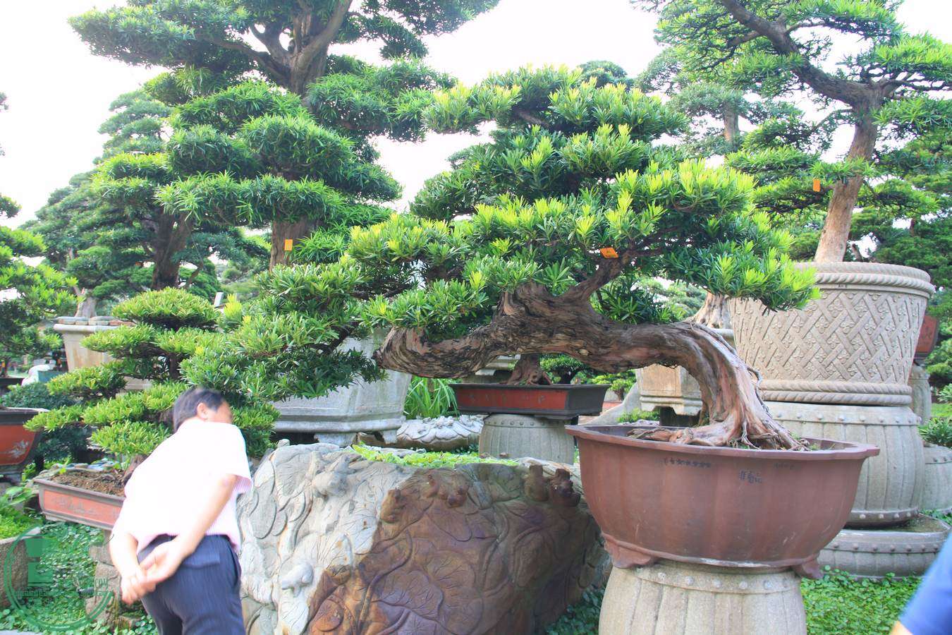 IMG_4903.jpg