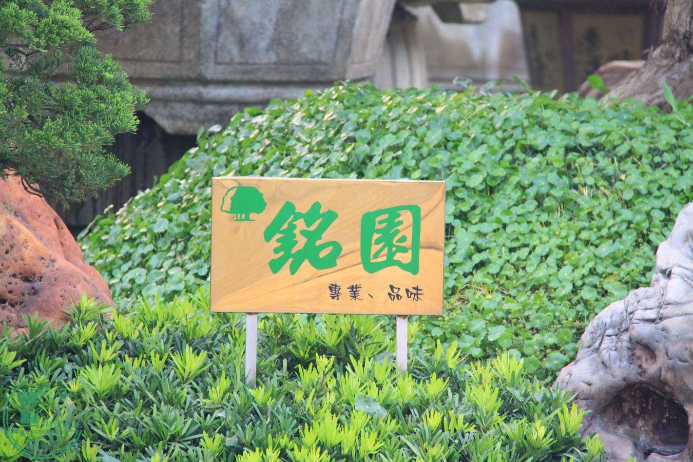 IMG_4906.jpg