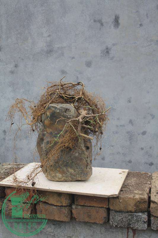 Ƭ20131026ۺ 3000.jpg