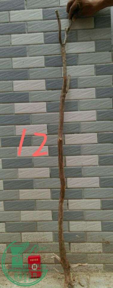 73fdaa202f873294.jpg