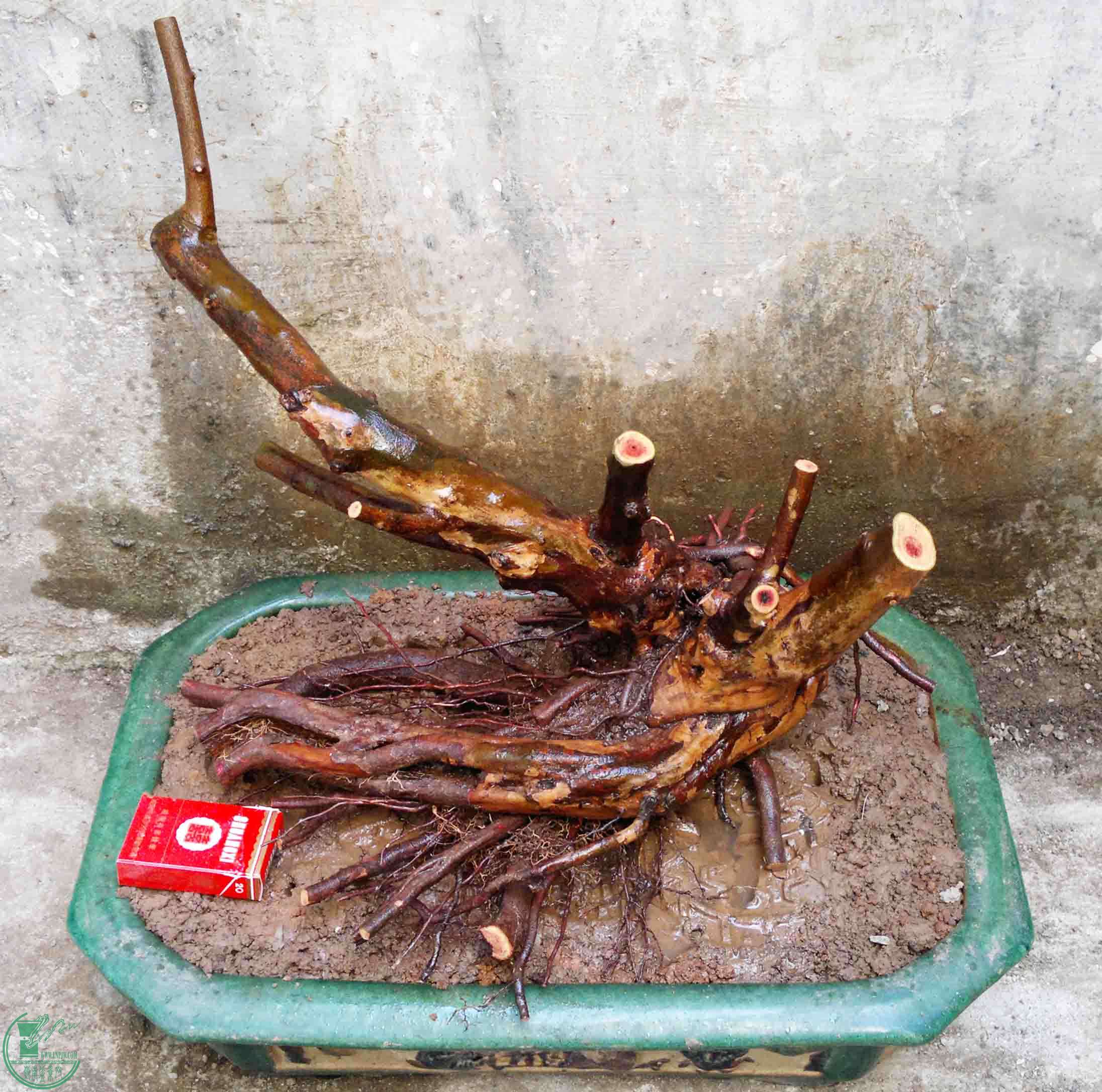 201504215013.jpg