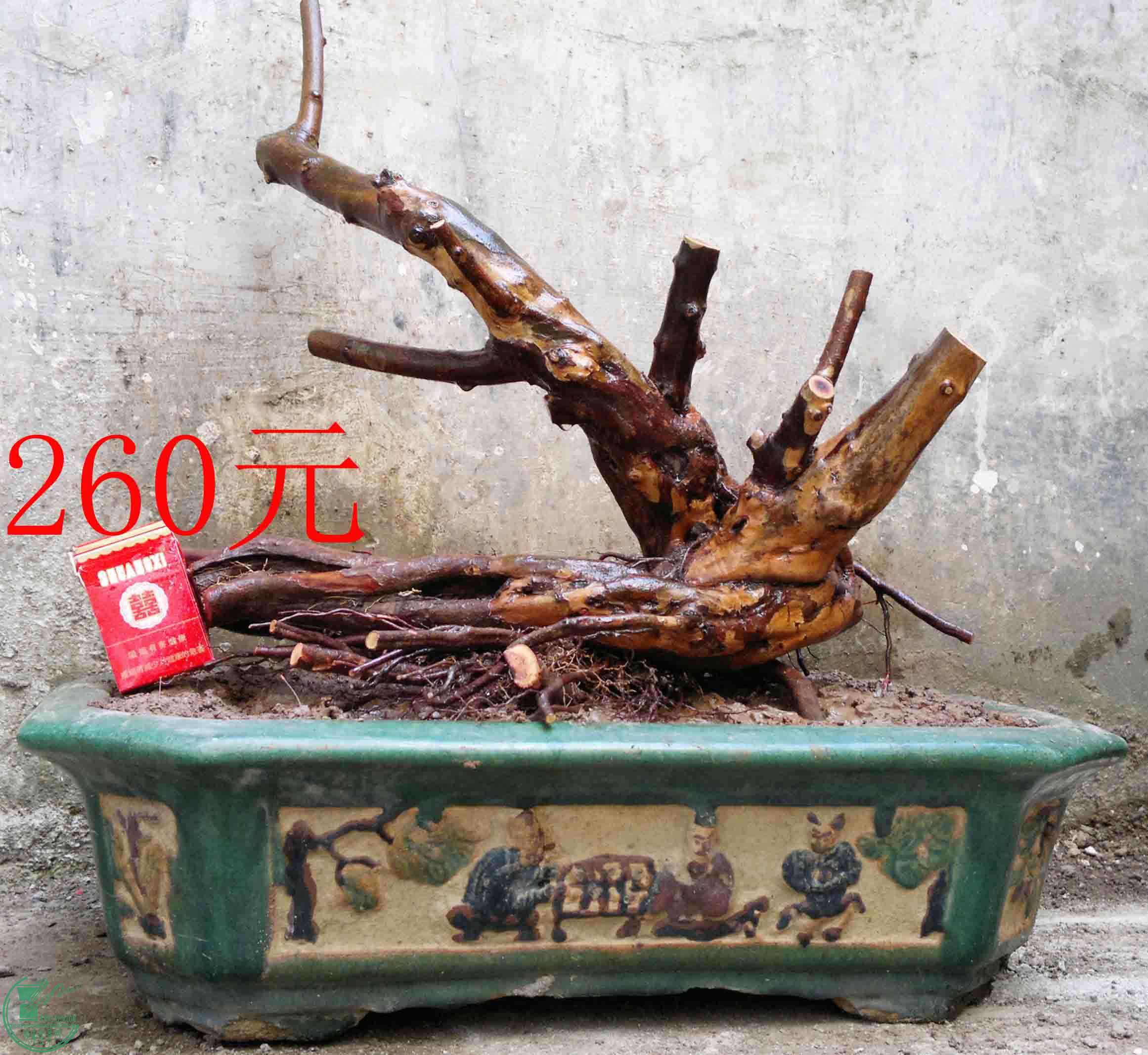201504214946.jpg