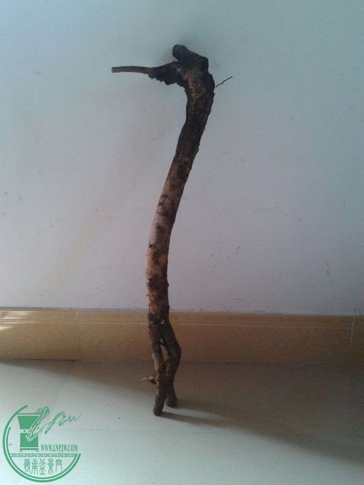 QQͼƬ20150422150341.jpg