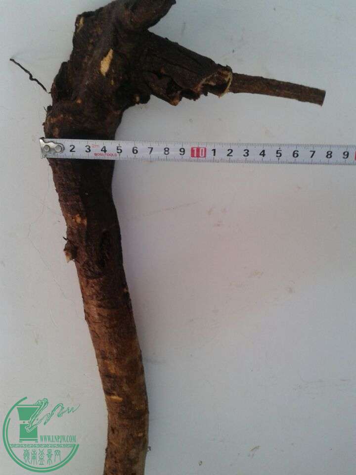 QQͼƬ20150422150646.jpg