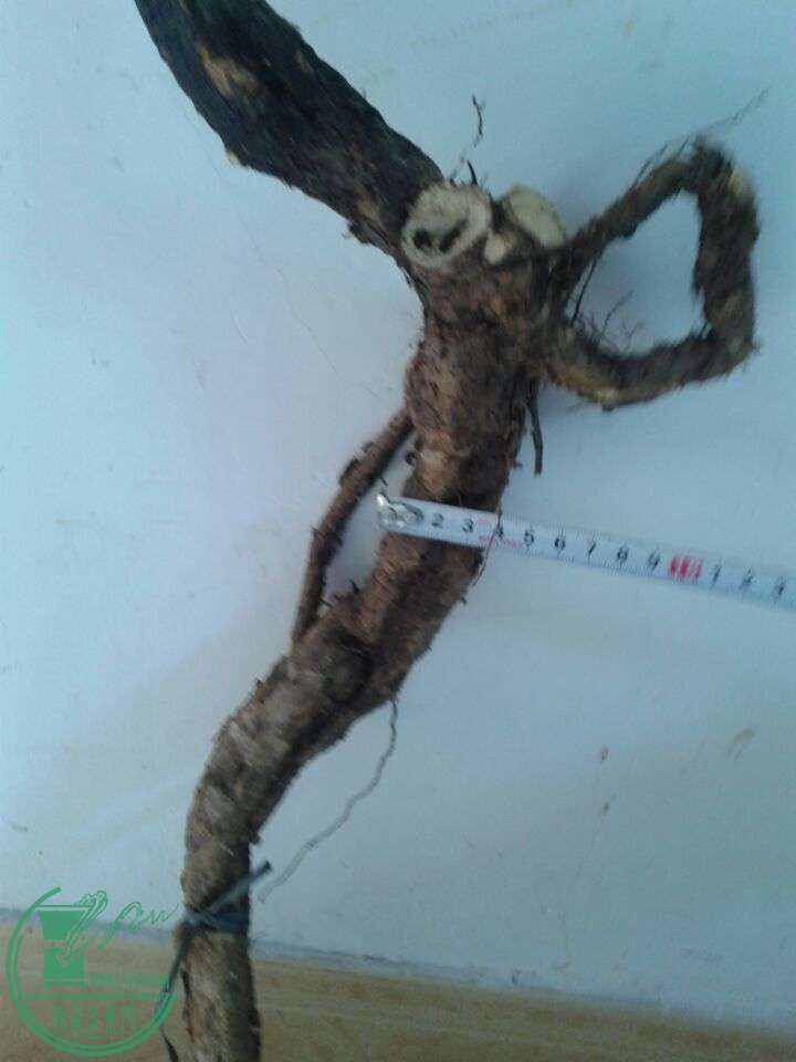 QQͼƬ20150422150713.jpg