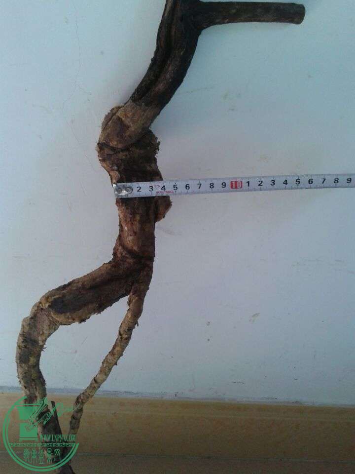 QQͼƬ20150422150744.jpg